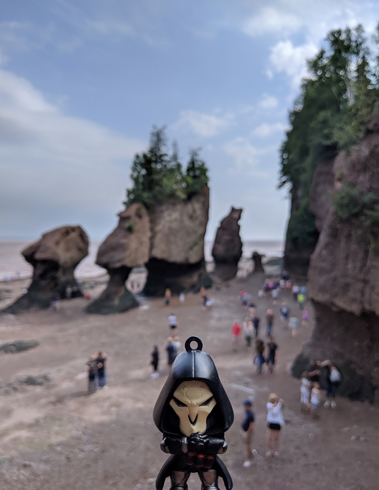 Reaper at Hopewell Rocks