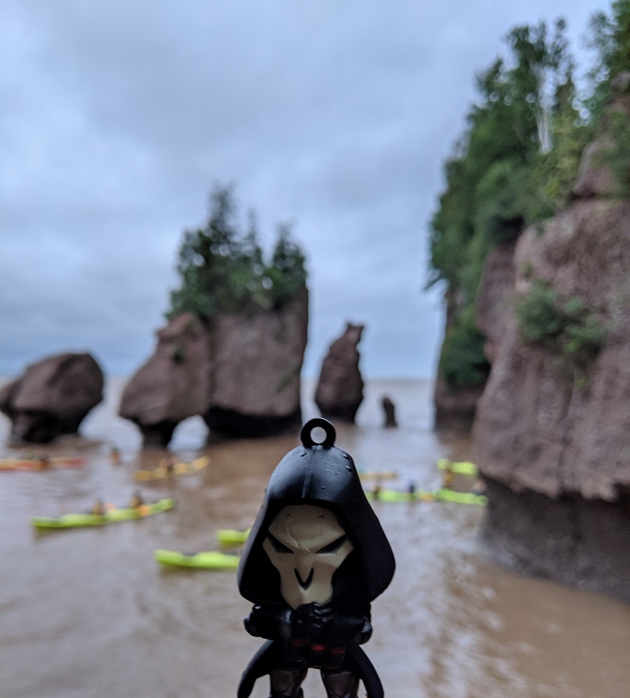 Reaper at Hopewell Rocks